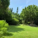 厦门园林植物园 - 厦门市旅游 缩略图 2