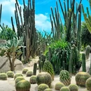 厦门园林植物园 - 厦门市旅游 缩略图 1
