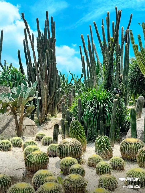 厦门园林植物园 - 厦门市旅游
