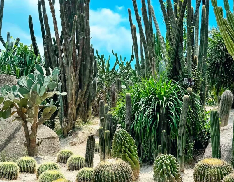 厦门园林植物园 - 厦门市旅游 1
