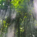 厦门园林植物园 - 厦门市旅游 缩略图 6