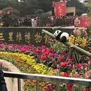 三星堆博物馆景区 - 德阳市旅游 缩略图 8