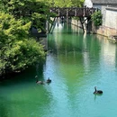 濮院大道 - 嘉兴市旅游 缩略图 8