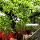 窑湾古镇 - 徐州市旅游 缩略图 3