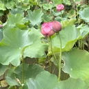 弘坤·花样汇 - 长沙市旅游 缩略图 3