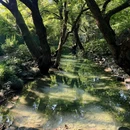 九溪十八涧 - 杭州市旅游 缩略图 4