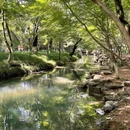 九溪十八涧 - 杭州市旅游 缩略图 3