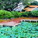 南海文化公园 - 佛山市旅游 缩略图 3