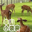 石军村五福榕党建主题公园 - 中山市旅游 缩略图 1