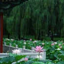 日坛公园 - 北京市旅游 缩略图 2