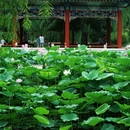 日坛公园 - 北京市旅游 缩略图 1