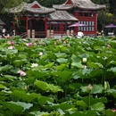 日坛公园 - 北京市旅游 缩略图 6