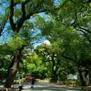 中山公园 - 佛山市旅游 缩略图 2