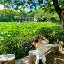 中山公园 - 佛山市旅游 缩略图 4