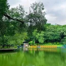 中山公园 - 佛山市旅游 缩略图 9