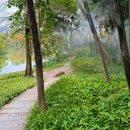 中山公园 - 佛山市旅游 缩略图 6