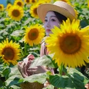 汉长安城未央宫国家考古遗址公园(章城门) - 西安市旅游 缩略图 4