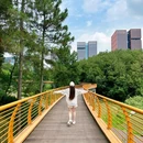 永安湖城市森林公园 - 成都市旅游 缩略图 4
