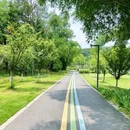 永安湖城市森林公园 - 成都市旅游 缩略图 5