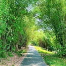永安湖城市森林公园 - 成都市旅游 缩略图 3