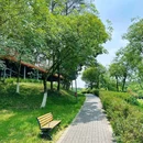 永安湖城市森林公园 - 成都市旅游 缩略图 9