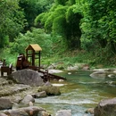 广州市白江湖森林公园 - 广州市旅游 缩略图 4