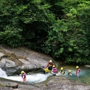 广州市白江湖森林公园 - 广州市旅游 缩略图 1