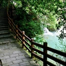 广州市白江湖森林公园 - 广州市旅游 缩略图 6