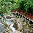 广州市白江湖森林公园 - 广州市旅游 缩略图 9