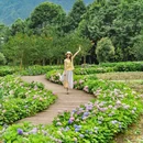 宝山旅游景区 - 成都市旅游 缩略图 3