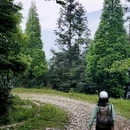 往后余生摄影基地 - 成都市旅游 缩略图 2