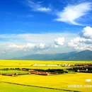 门源天一锦绣城 - 海北藏族自治州旅游 缩略图 5