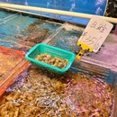 新兴公寓 - 揭阳市旅游 缩略图 7