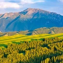 菊花台景区 - 乌鲁木齐市旅游 缩略图 5