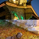 水街-西南门 - 盐城市旅游 缩略图 6