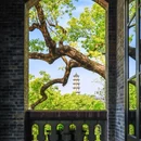 江心屿景区 - 温州市旅游 缩略图 1