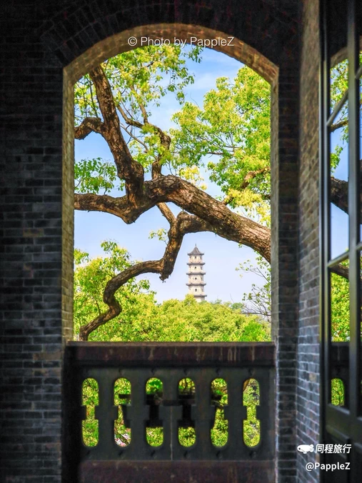 江心屿景区 - 温州市旅游