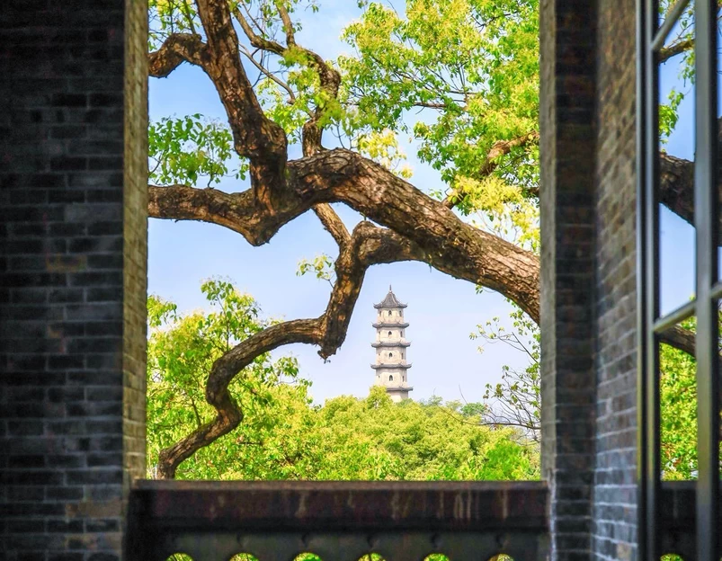 江心屿景区 - 温州市旅游 1