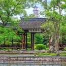 江心屿景区 - 温州市旅游 缩略图 9