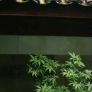 四季逸境酒店(金华高铁站银泰城店) - 金华市旅游 缩略图 6