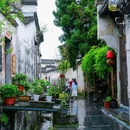 西递古民居景区 - 黄山市旅游 缩略图 1