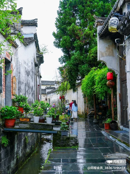 西递古民居景区 - 黄山市旅游