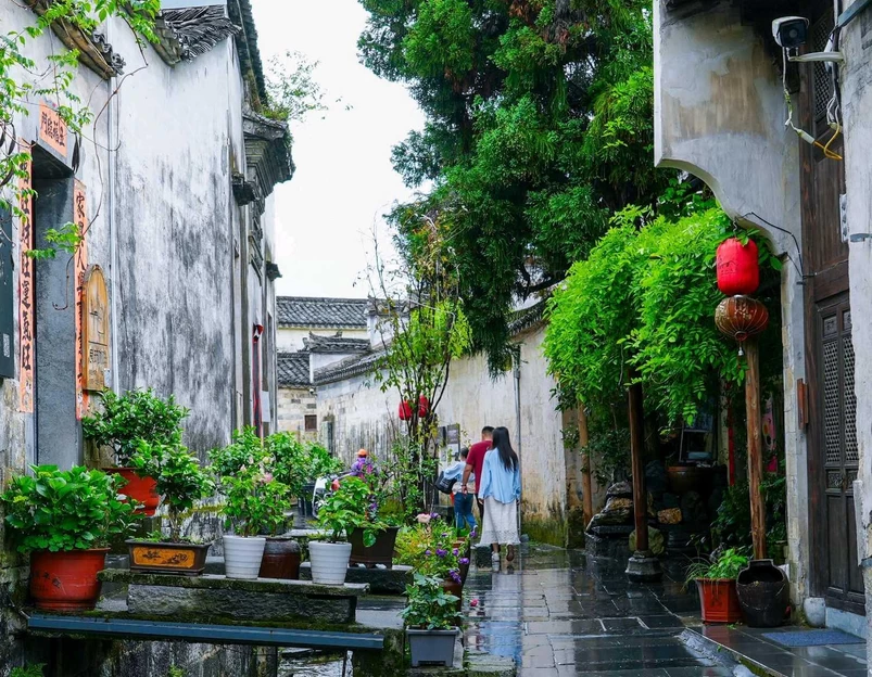 西递古民居景区 - 黄山市旅游 1