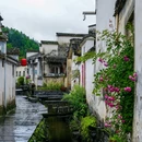 西递古民居景区 - 黄山市旅游 缩略图 7