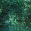 西溪南景区 - 黄山市旅游 缩略图 5