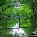 西溪南景区 - 黄山市旅游 缩略图 3