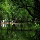 西溪南景区 - 黄山市旅游 缩略图 6