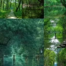 西溪南景区 - 黄山市旅游 缩略图 7