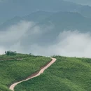 金华四季瑞丽酒店(市政府世贸城市广场店) - 金华市旅游 缩略图 2