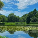 茅家埠景区 - 杭州旅游 缩略图 8